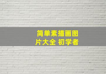 简单素描画图片大全 初学者